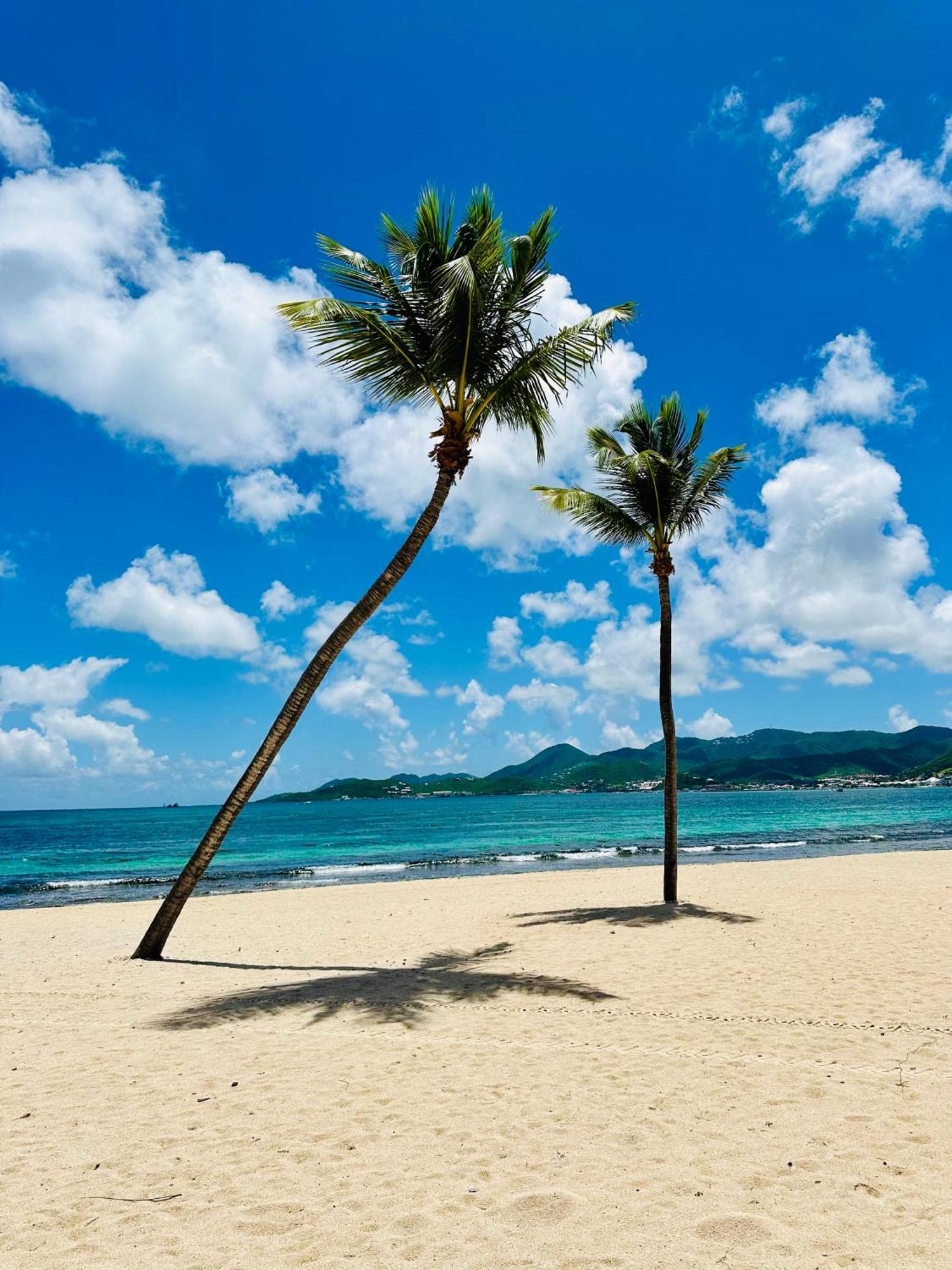 Shell Beach - Magnifique Loft Sur La Plage Baie Nettle Ngoại thất bức ảnh